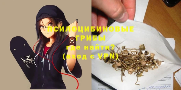 Альфа ПВП Абаза