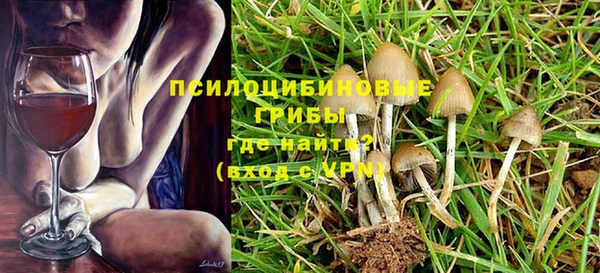 молекула духа Абинск