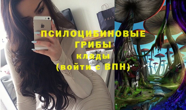 Альфа ПВП Абаза