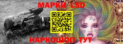 индика Кинель