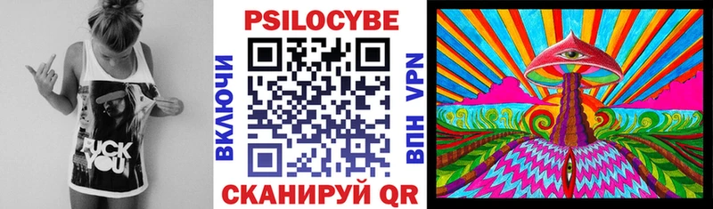 Галлюциногенные грибы мухоморы  Кингисепп 