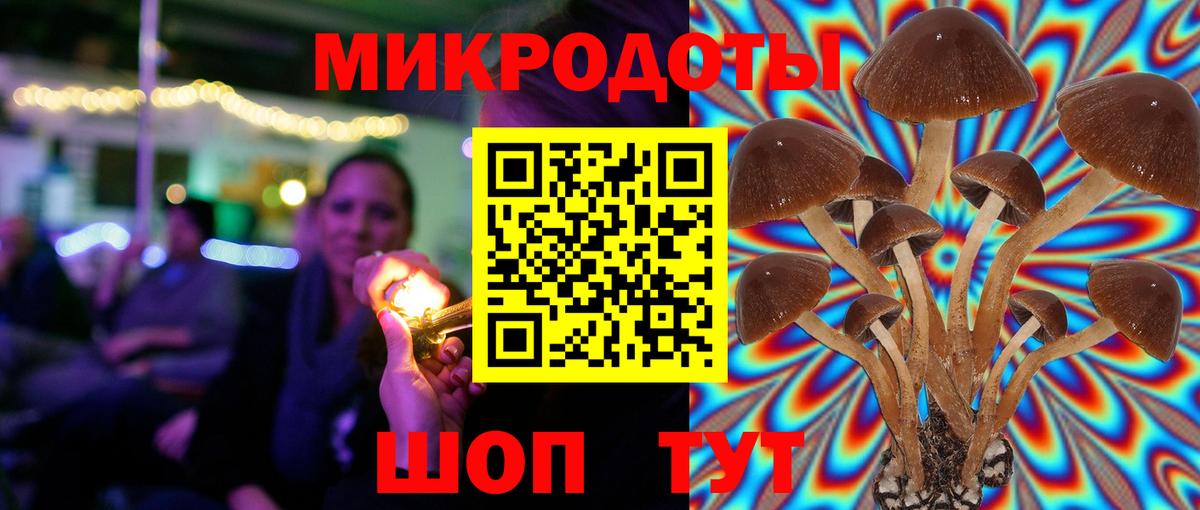 Галлюциногенные грибы Cubensis  Вход с VPN  Кингисепп 